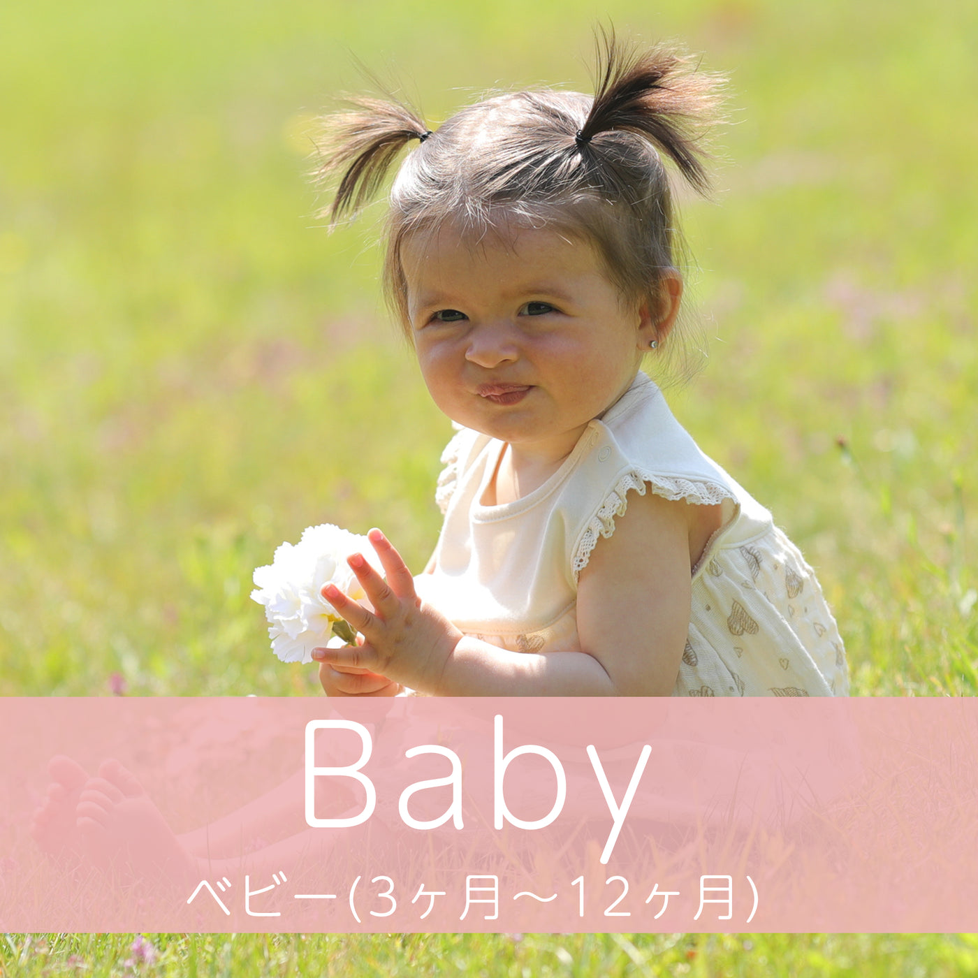 3-12ヵ月 - all